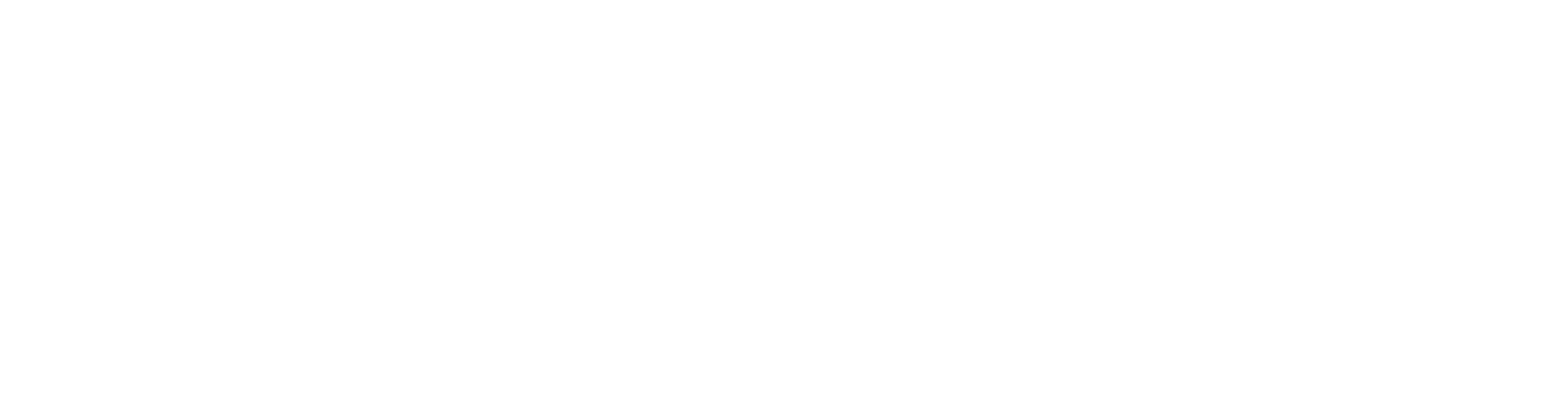 Ramnet Telecom